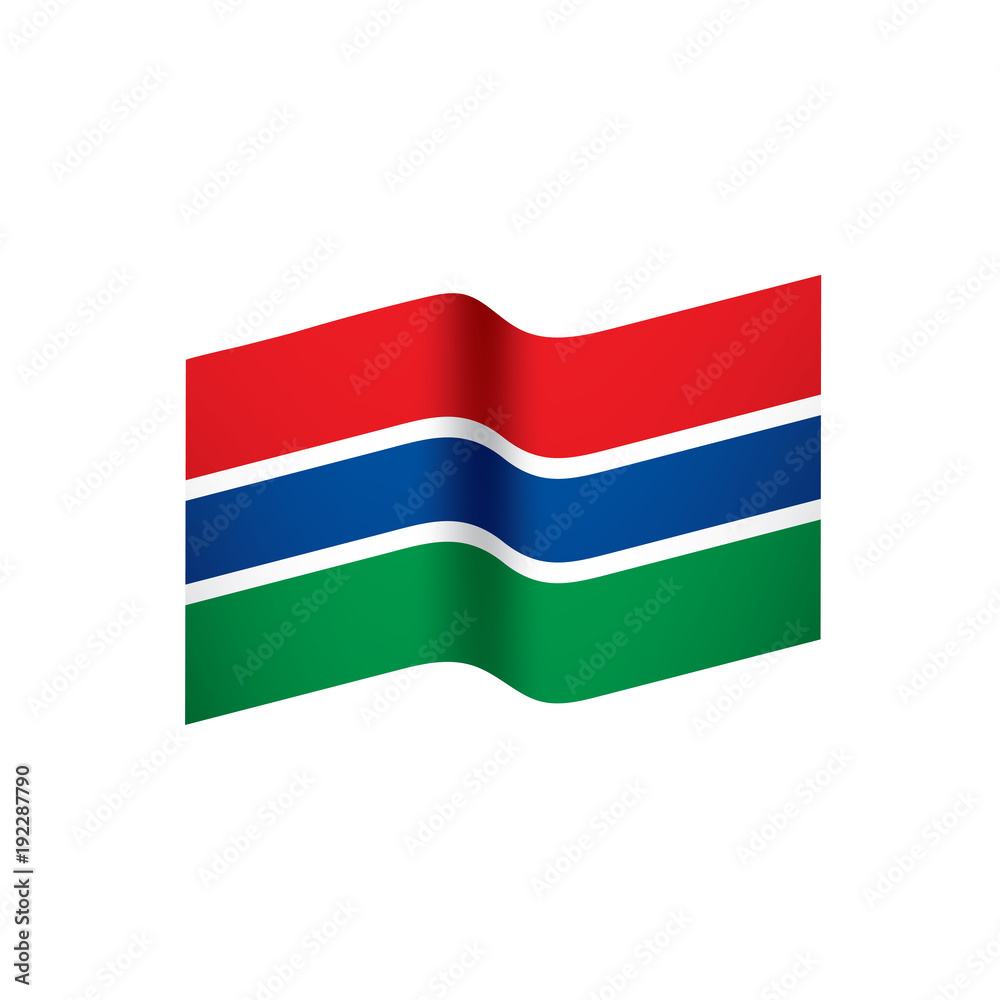 Gambia flag, vector illustration