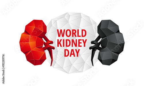 World Kidney Day background. Abstract anatomy organ. Kidneys in 3D polygon style.