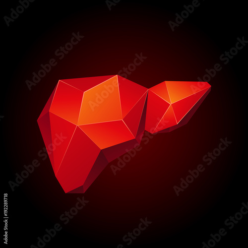 Red low poly human liver on a black background. Abstract anatomy organ. Liver in 3D polygon style.