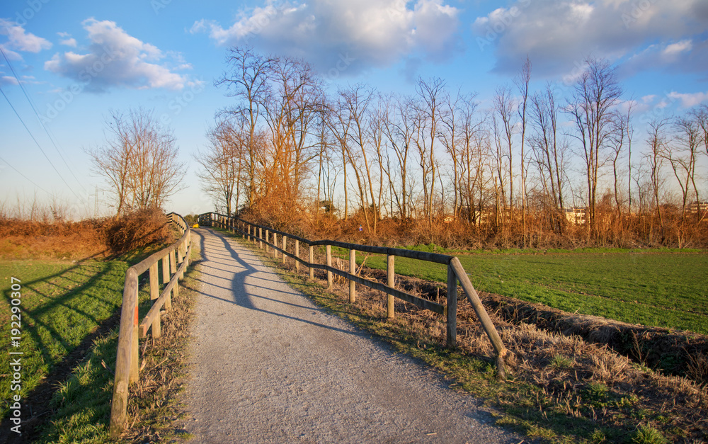Pathway in the country