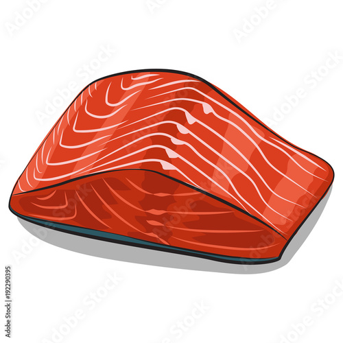 Salmon fillet vector cartoon illustration isolated on white background. Piece of raw red fish. Seafood icon.