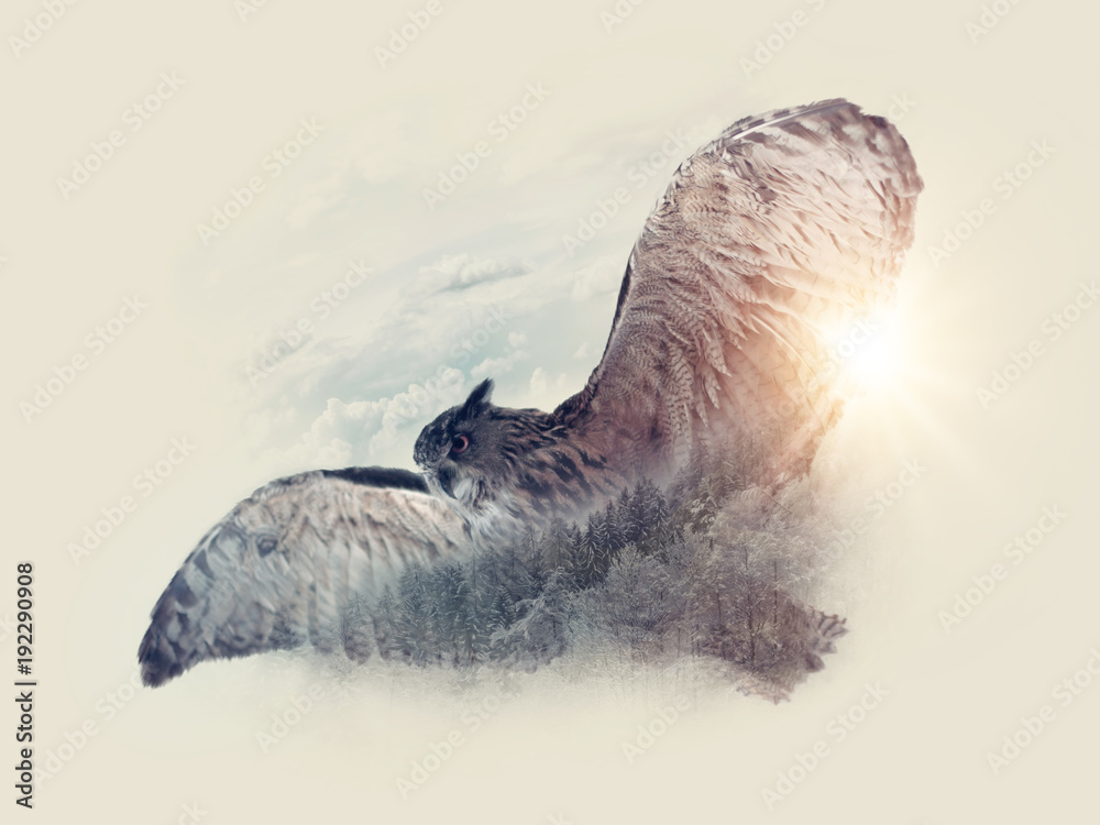 Obraz premium Bird flying in the sky