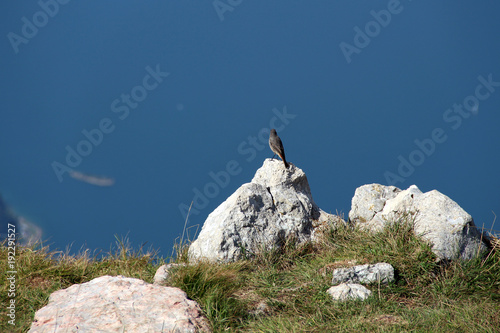 Vogelperspektive