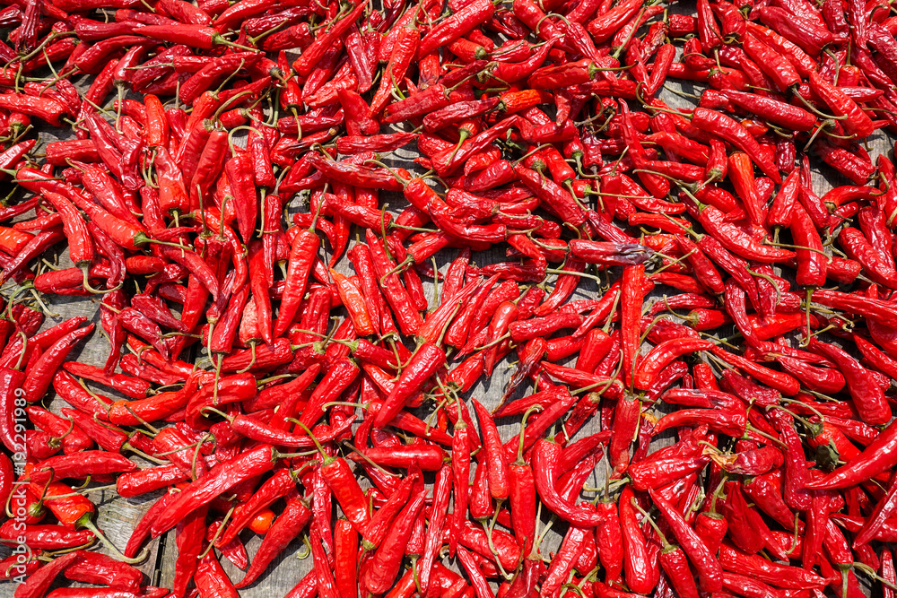 Red hot peppers dry on the sun, selective focus. 