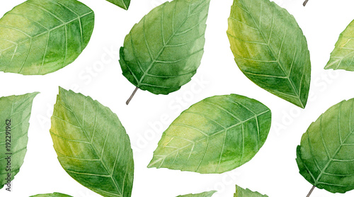 Green leaves pattern. Nature background. Watercolor illustration