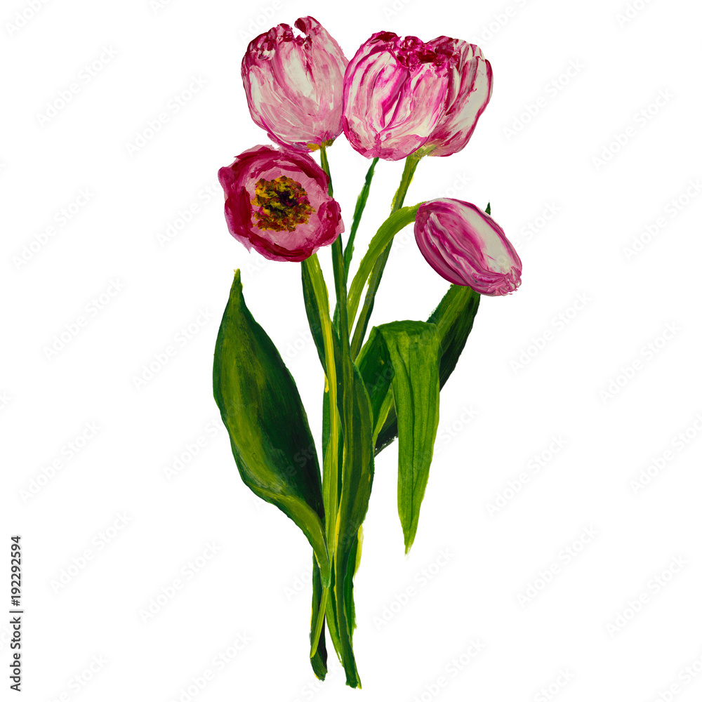 Tulips bouquete painted isolated on white background with space for text Tulips bouquete painted isolated on white background with space for text