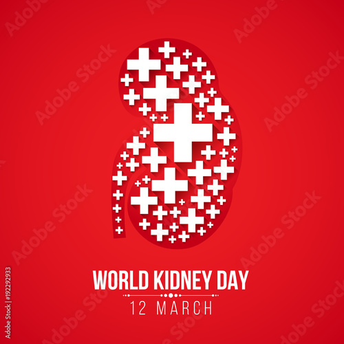 World Kidney day with white Cross sign Kidney on red background vector design