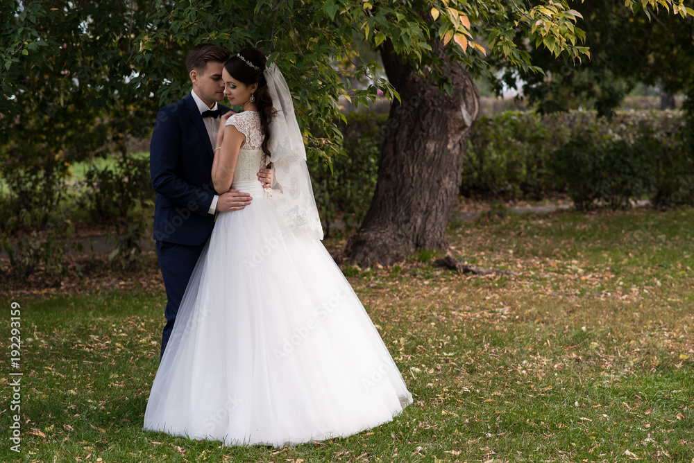 Bride and groom kissing outdoors. Autumn. Forest. Dress. Blue suit.