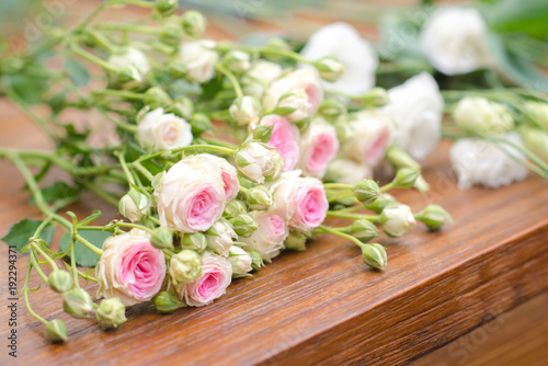 Cut roses on bench © auremar