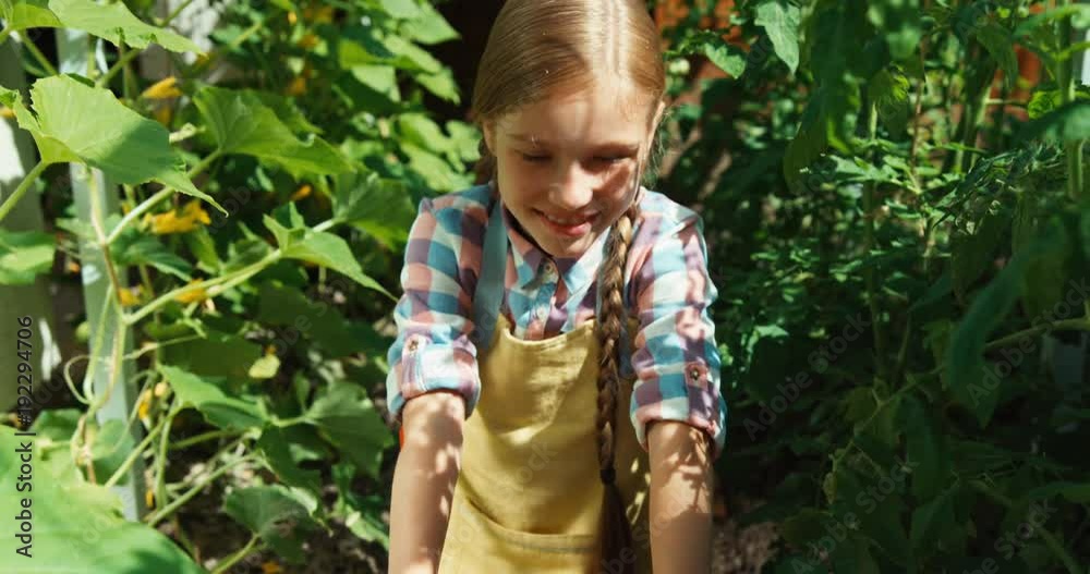 Cheerful girl with a crop of vegetables in the kitchen garden Cheerful girl with a crop of vegetables in the kitchen garden