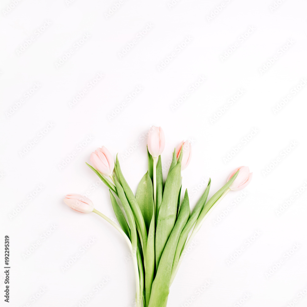 Pastel pink tulip flowers bouquet isolated on white background. Flat lay, top view. Minimal floral concept.