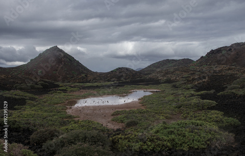 wild and small, the island of Los Lobos in the Canary archipelago, Spain