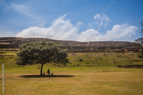 The fortress in Samaipata Bolivia photo