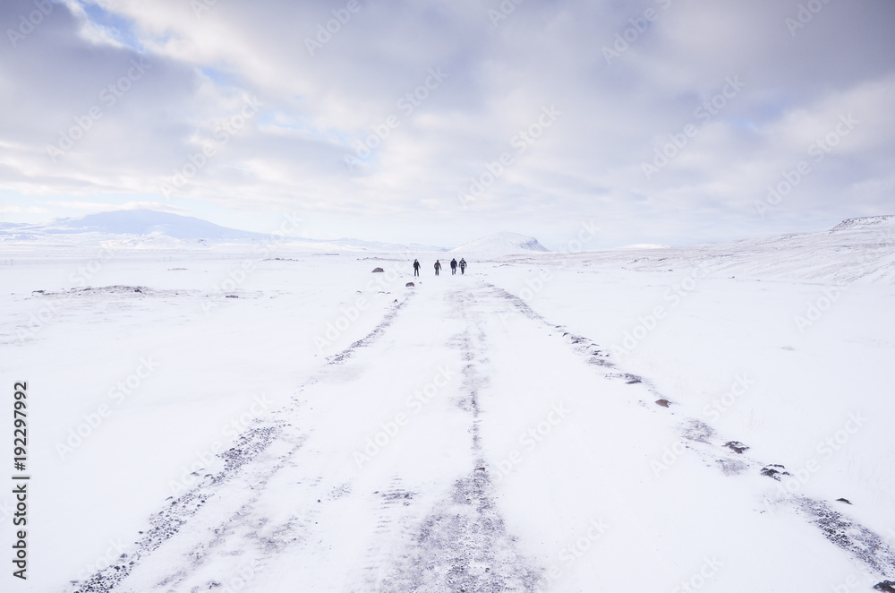 iceland nature, winter travel photo in snow, adventure, trip, hiking, mountains.