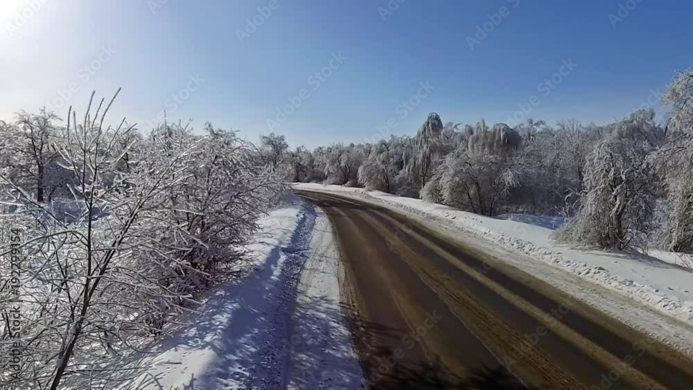 The road trees snow ice Sun