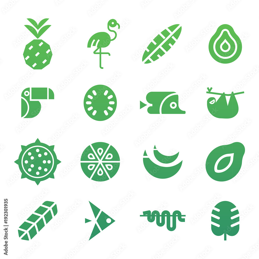 Tropical Vector Icon Set with exotic plants, fruit  and animals. Flat design, simple shapes.