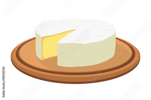 Vector camembert cheese on plate. Slice, chunk on wooden tray. Cartoon flat style