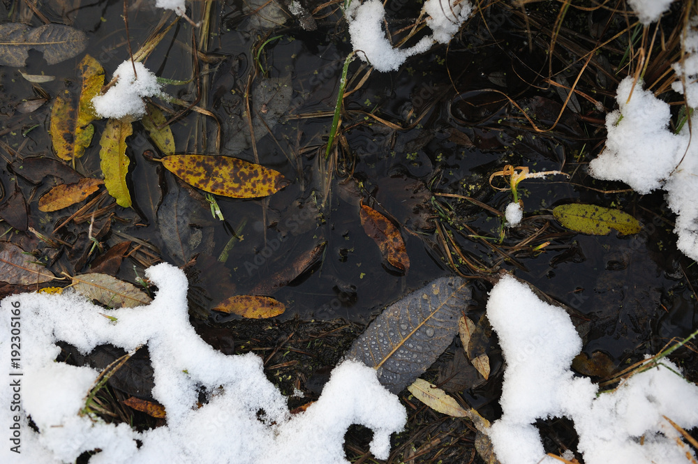 After the first snowfall After the first snowfall