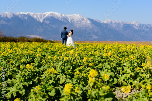 Wallpaper Mural 菜の花と幸せな二人 Torontodigital.ca