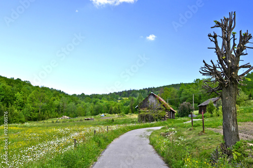 Rural road and countryside of Beskid Niski, Poland