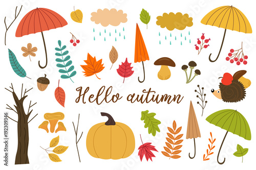 set of isolated elements of autumn - vector illustration, eps