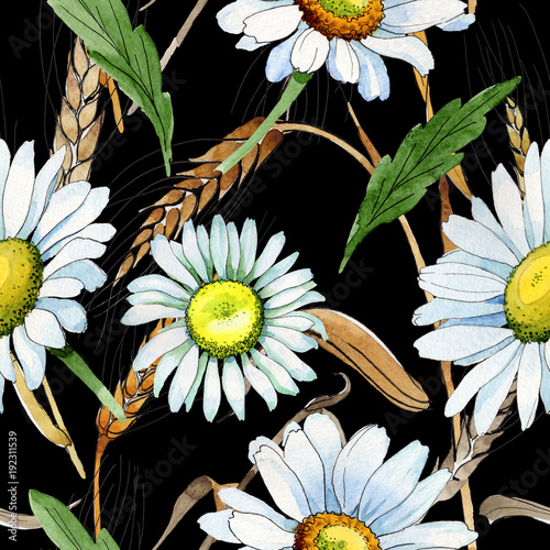 Wildflower chamomile flower pattern in a watercolor style. Full name of the plant: chamomile. Aquarelle wild flower for background, texture, wrapper pattern, frame or border.