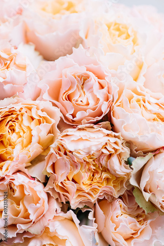 Fotografie Beautiful peachy pink with yellow roses close up vertical texture