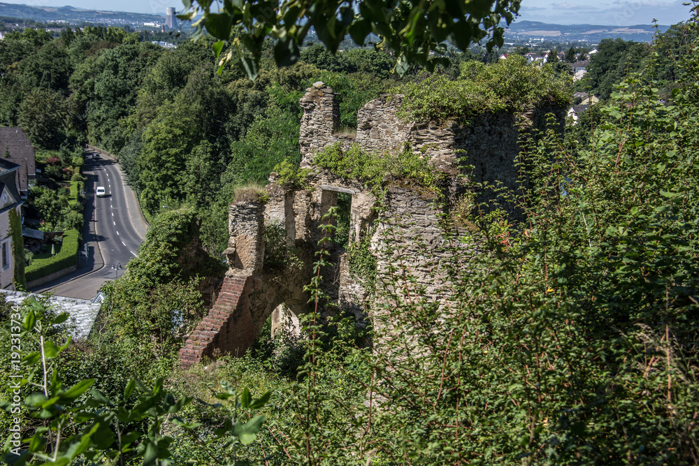 Burg Sayn im Westerwald