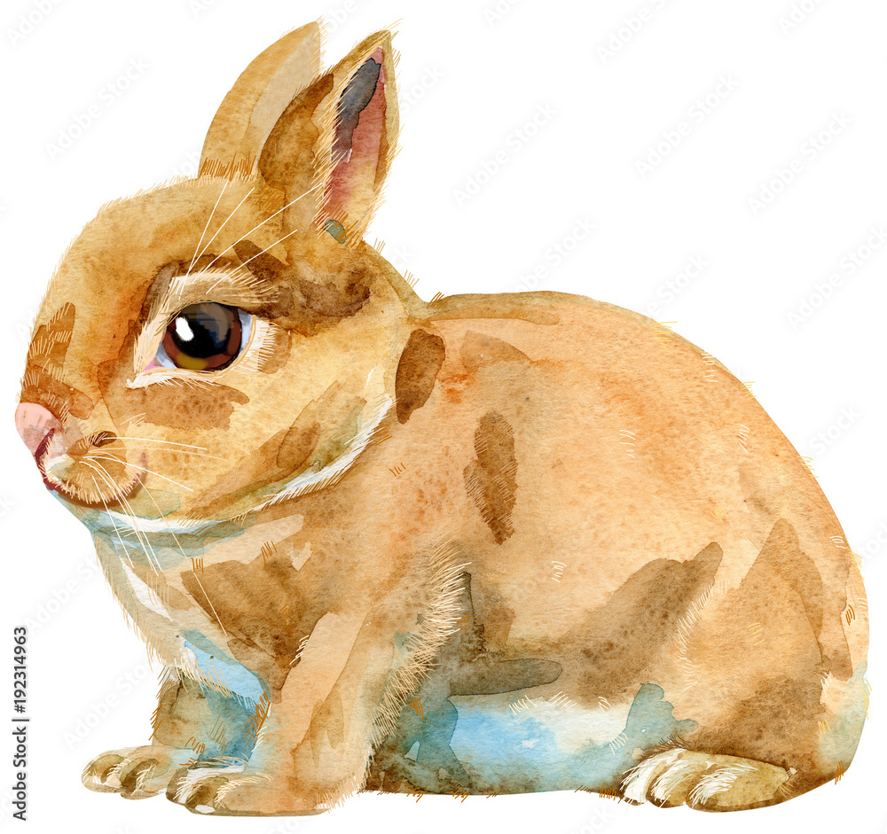 Obraz premium Watercolor illustration of beige rabbit