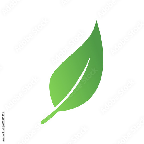 Zielony liść eko