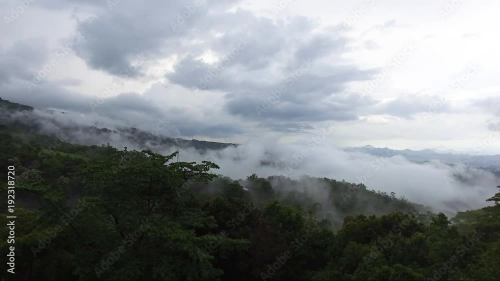 Cinematic aerial of a sea of clouds in a highland rainforest