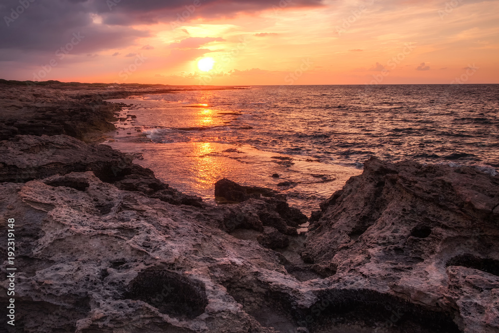 Fototapeta Beautiful sunset at the rocky coastline