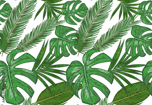 Fototapeta Naklejka Na Ścianę i Meble -  Vector  Seamless pattern of various tropical palm leaves. background of green foliage on a white.