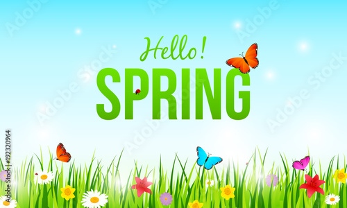 " Hello! Spring " on beautiful spring meadows background. Green grass with flowers and butterfly.  