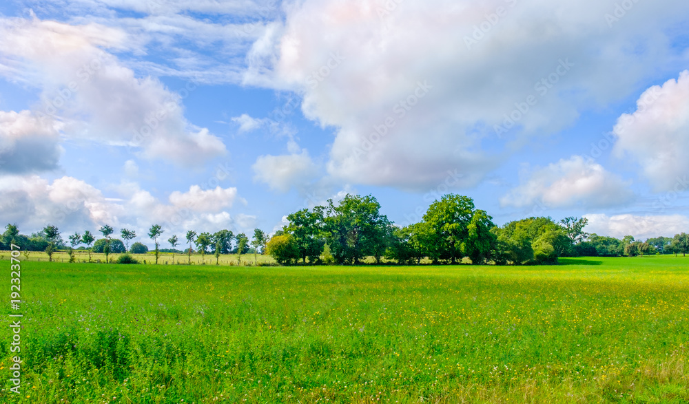 Verdant fields in the Orne countryside on a summer day, Normandy France Verdant fields in the Orne countryside on a summer day, Normandy France