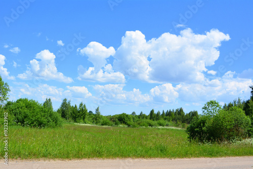 Photography beautiful summer natural bright landscape: field with green grass and bushes aga