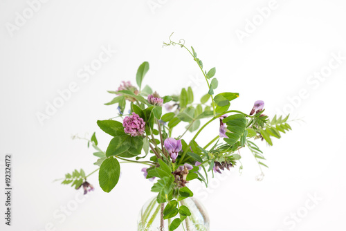 Vicia cracca flowers in a glass vase on a white background