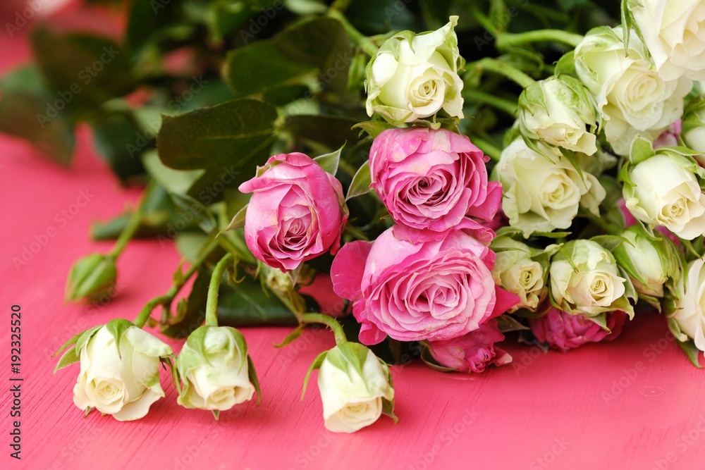 Beautiful bouquet of white and pink roses on pink background  