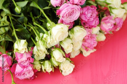 Beautiful bouquet of white and pink roses on pink background  