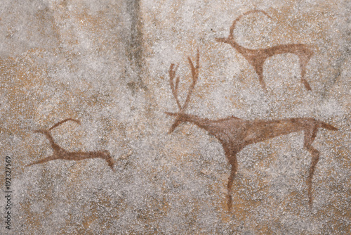 images of ancient mam malian animals on the wall of the cave. ancient hunting. era, era.