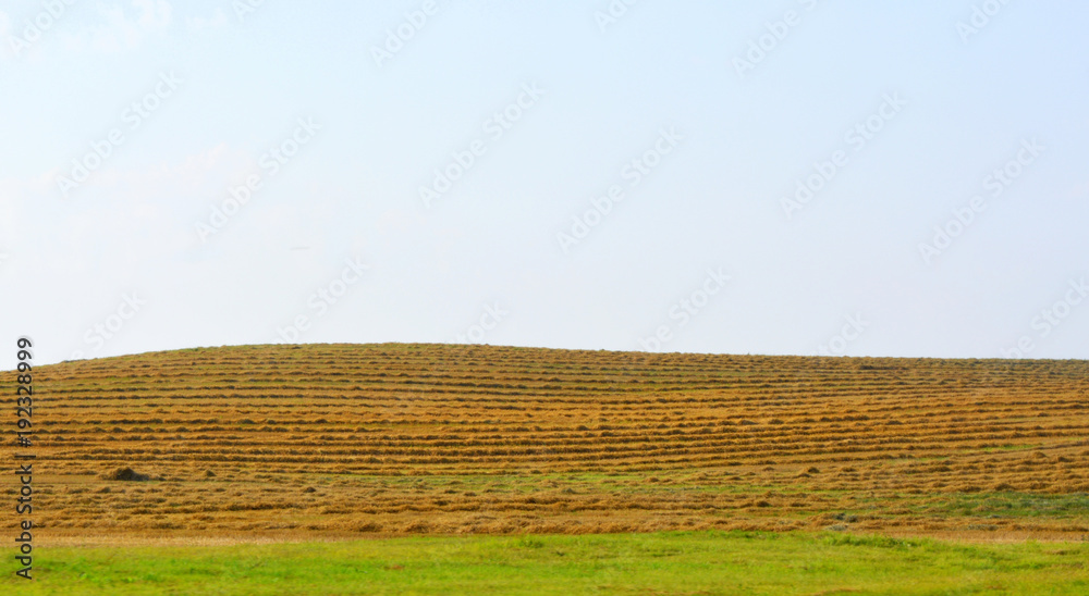 beautiful suburban natural landscape: sloping straw on the field, harvesting, agriculture, farming