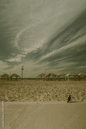 Tel Aviv beach