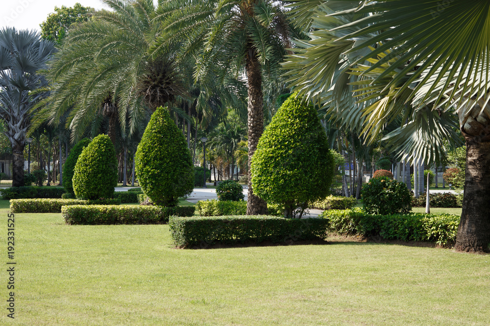 Fototapeta premium Thailand Samut Prakan: Observation Tower & Knowledge Park, flower & brick, street snap local town