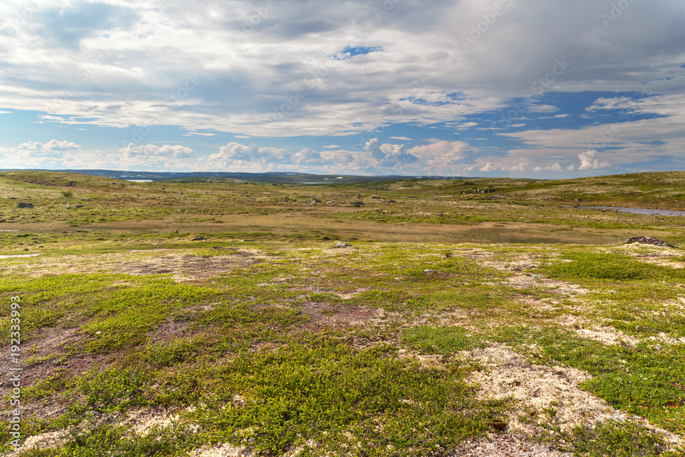 Tundra landscape in the north of Russia
