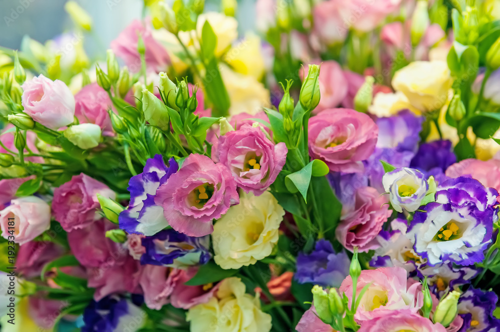 A large bouquet of multi-colored alstroemerias in the flower shop are sold in the form of a gift box. The farmer's market. Close up. A large bouquet of multi-colored alstroemerias in the flower shop are sold in the form of a gift box. The farmer's market. Close up.