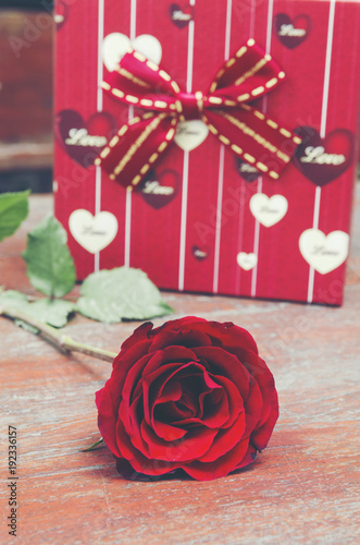 rose flower background for ...