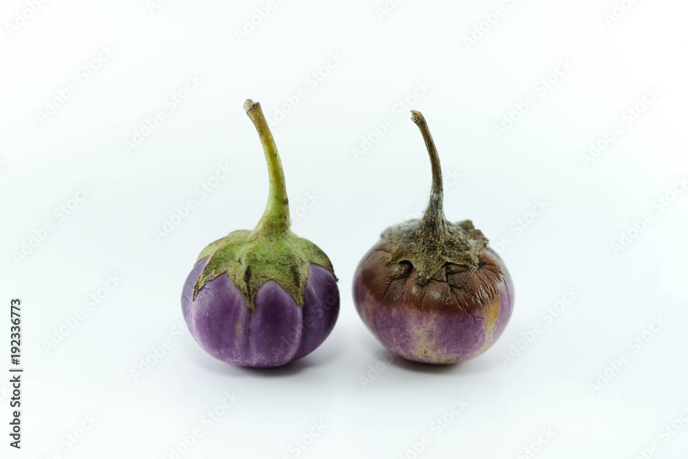 Vegetable Two spoiled eggplant isolate use as healthy or unhealty and food preservation concept. Vegetable Two spoiled eggplant isolate use as healthy or unhealty and food preservation concept.