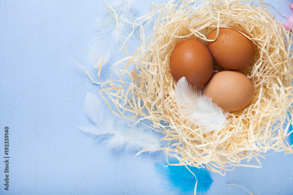 Easter eggs in nest Easter eggs in nest