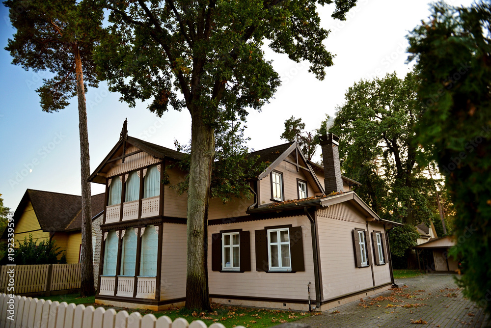 Yard of neat wooden house