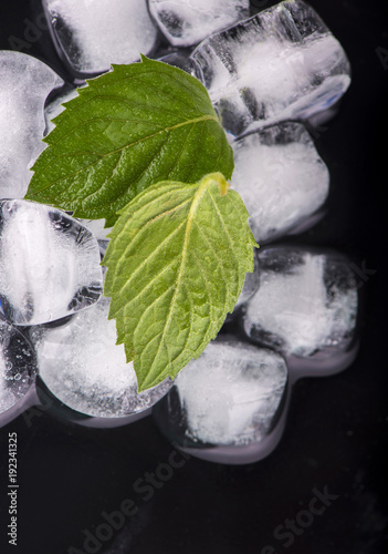 Ice cube with mint leaves